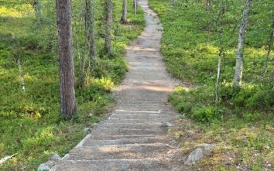 Aseta realistisia tavoitteita itsellesi ja uskalla sekä motivoidu toteuttamaan