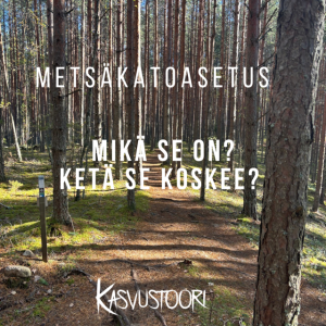 Metsäkatoasetus konsultointi