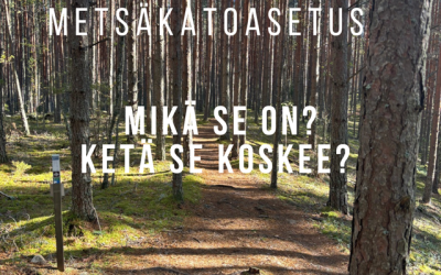 Metsäkatoasetus on tulossa. Yrittäjä tiedätkö koskeeko sinun yritystäsi?