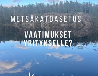 Metsäkatoasetuksen vaatimukset yritykselle