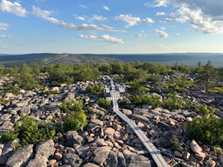 Tarvitsemme jonkun joka haastaa
