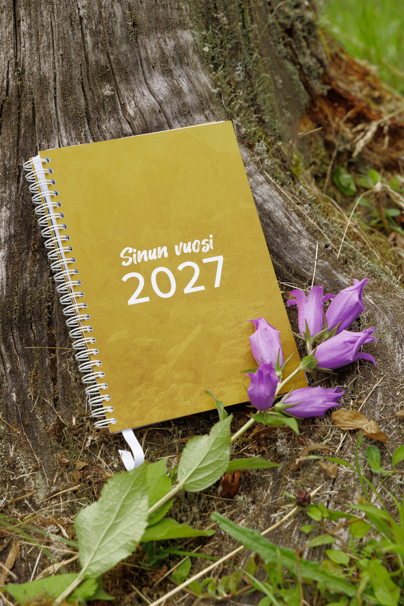 UUTUUS! Tavoitekalenteri Sinun vuosi 2027 on nyt saatavilla.
