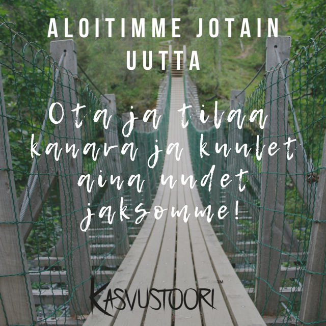 Inspiraatiota, oivalluksia ja yrittäjästooreja – nyt myös YouTubessa!